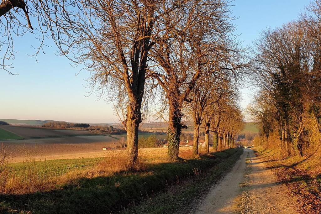 Le Bellevue A 1 H 30 De Paris Et 20 Km De Troyes Villa Estissac Kültér fotó